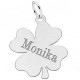 charms-zawieszka-charms-koniczynka-grawer-srebro 925-min.jpg