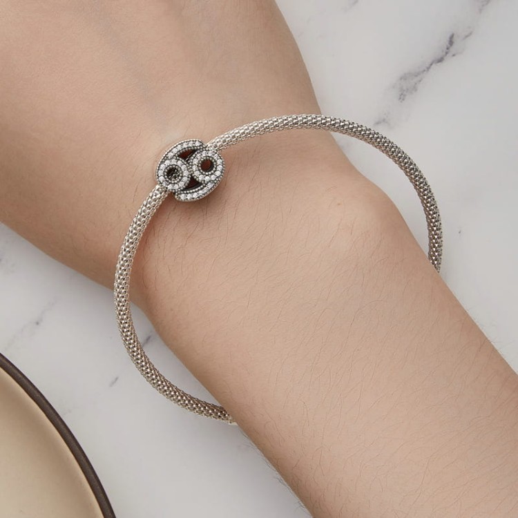 charms-zawieszka-charms-znak-zodiaku-ryby-cyrkonie-srebro 925 (6).jpg