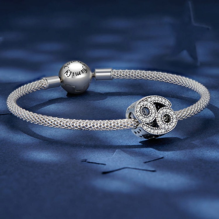 charms-zawieszka-charms-znak-zodiaku-ryby-cyrkonie-srebro 925 (5).jpg