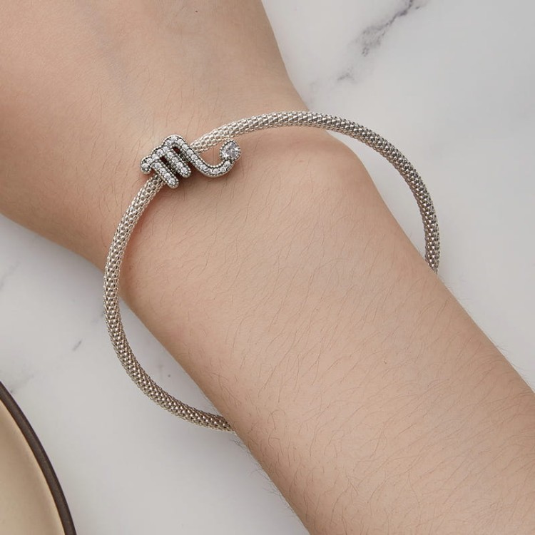 charms-zawieszka-charms-znak-zodiaku-skorpion-cyrkonie-srebro 925 (6).jpg