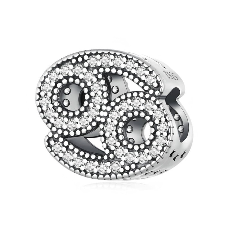 charms-zawieszka-charms-znak-zodiaku-ryby-cyrkonie-srebro 925 (1)-min.jpg